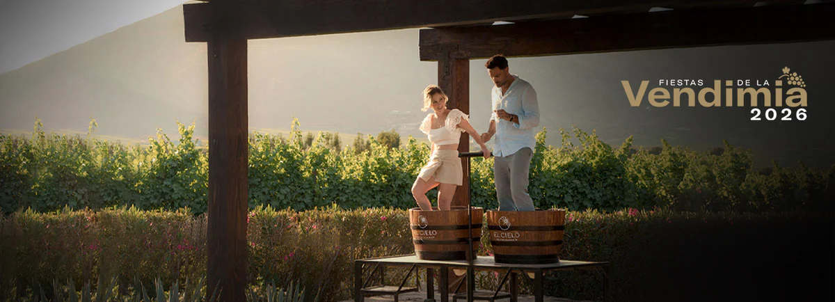 Vinos Mexicanos de Excelencia Mundial