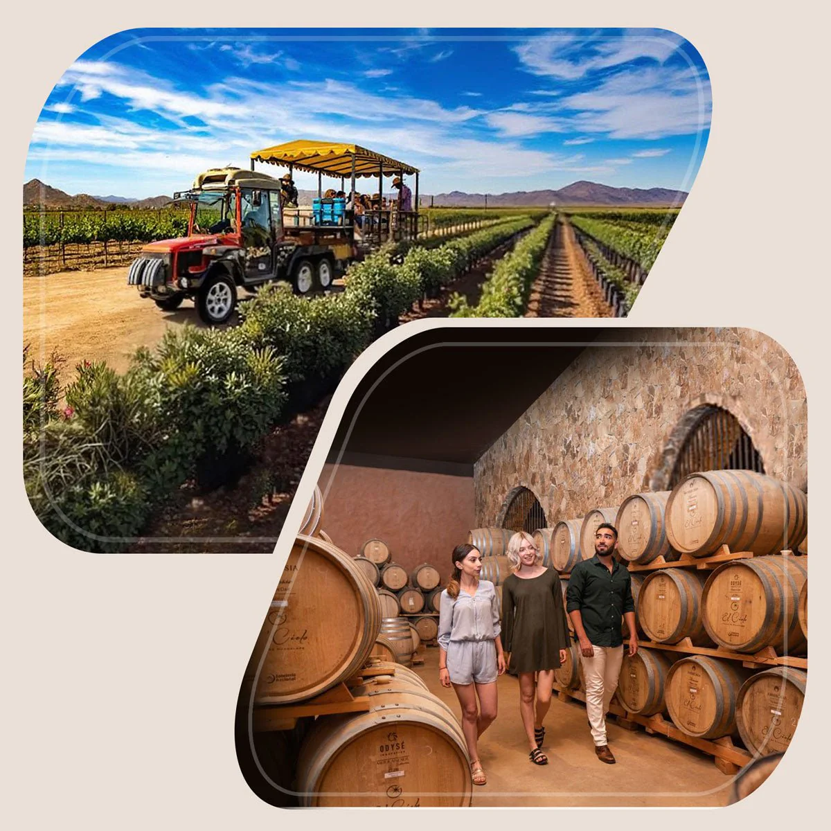 Experiencias en Cava