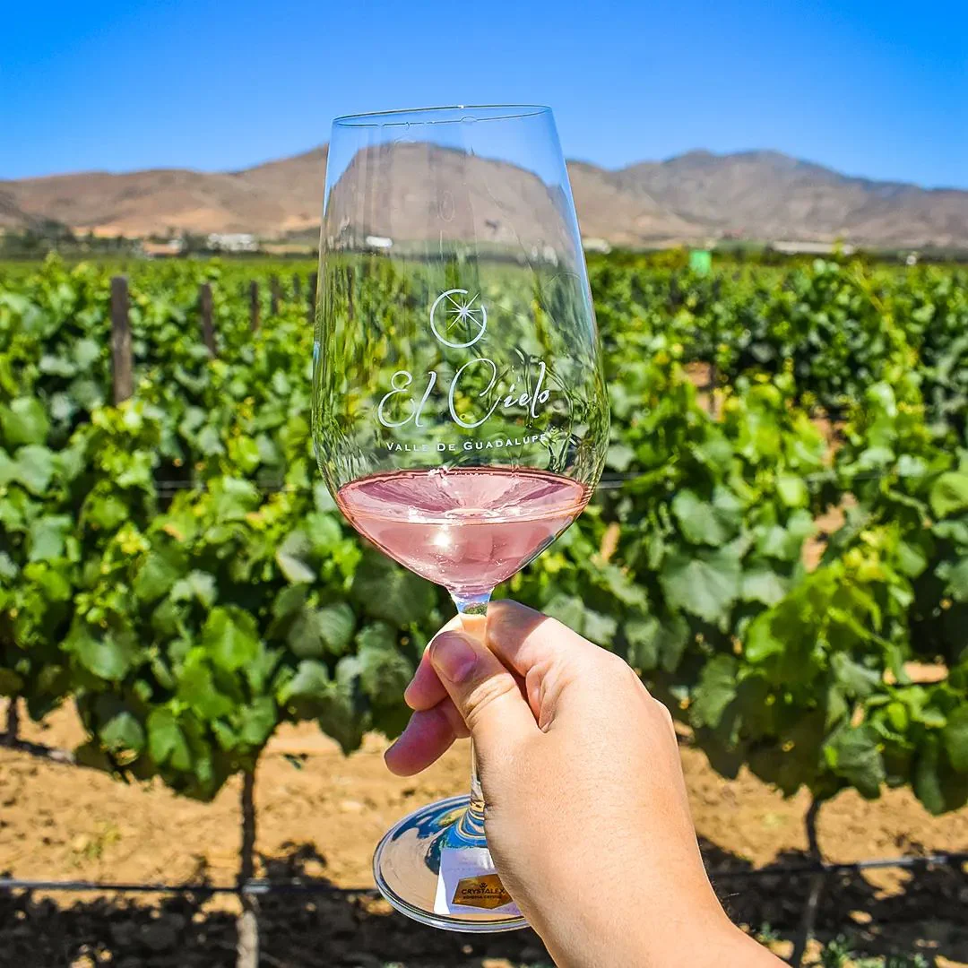 Carreta y Cava (Tour y Degustación) - Image 4