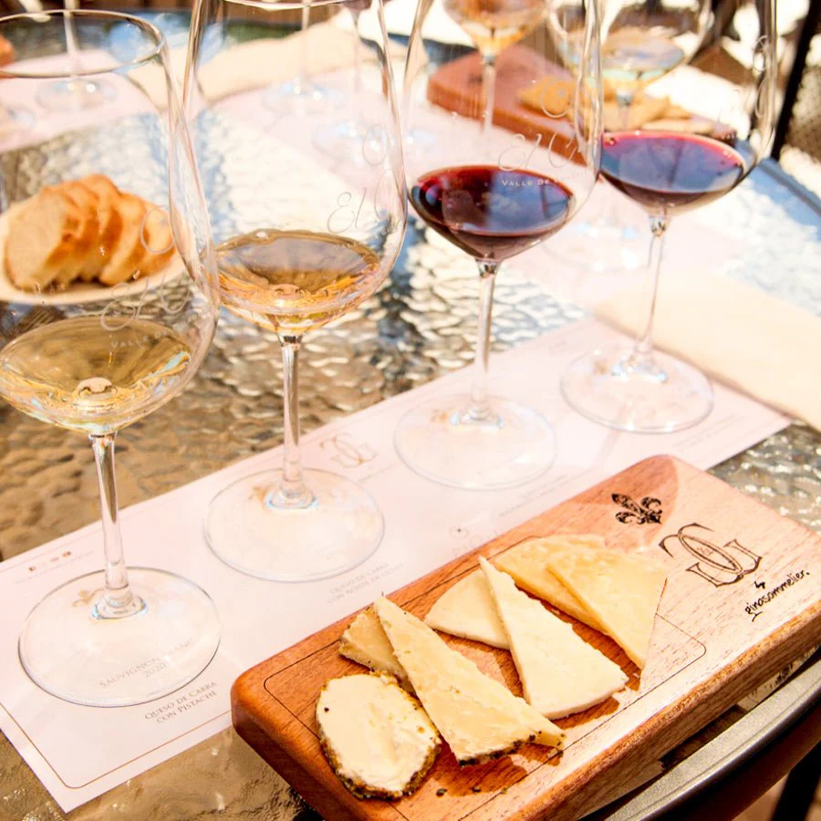 Degustación G&G By Ginasommelier con maridaje de quesos - Image 7