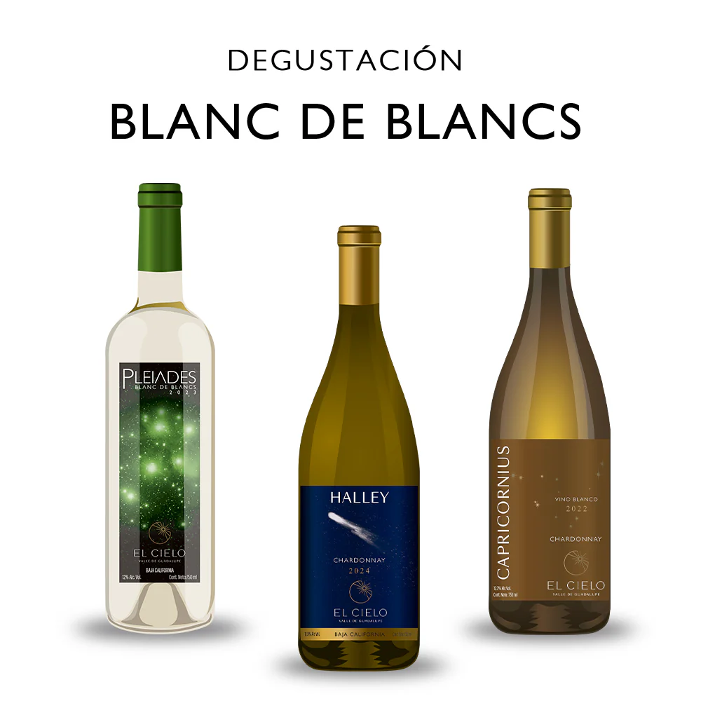 Degustaciones en Terraza - Image 3