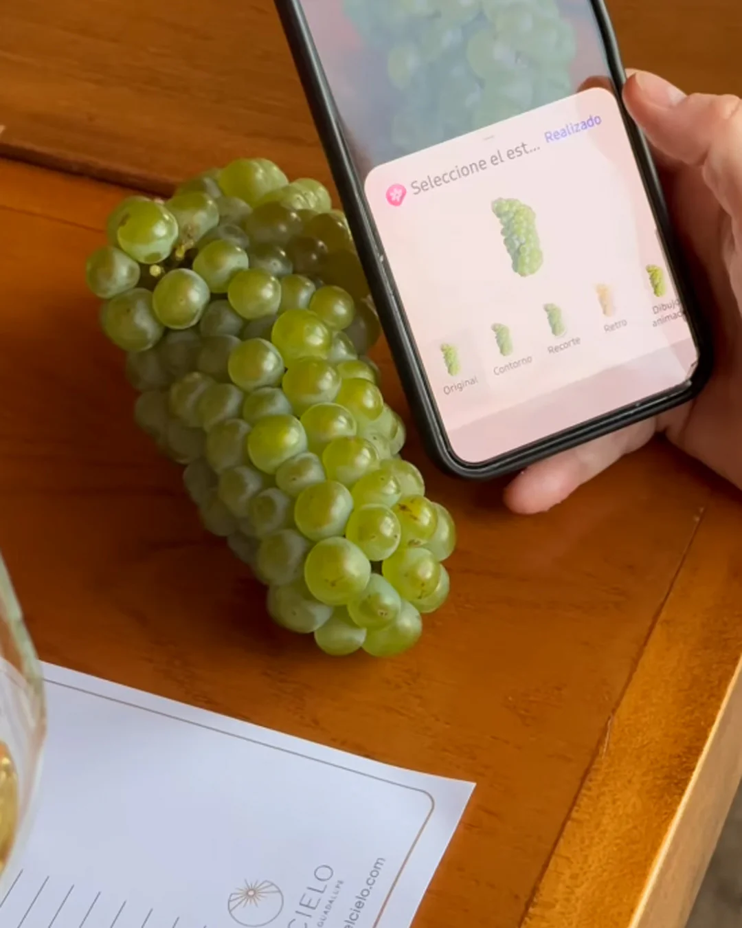 Master Class Chardonnay - Image 4