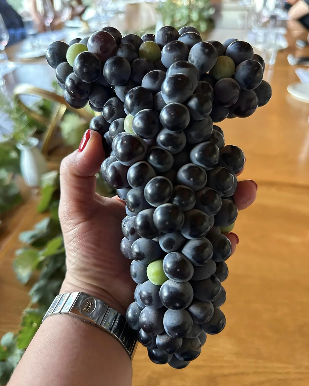 Master Class Historia Del Vino En México - Image 3