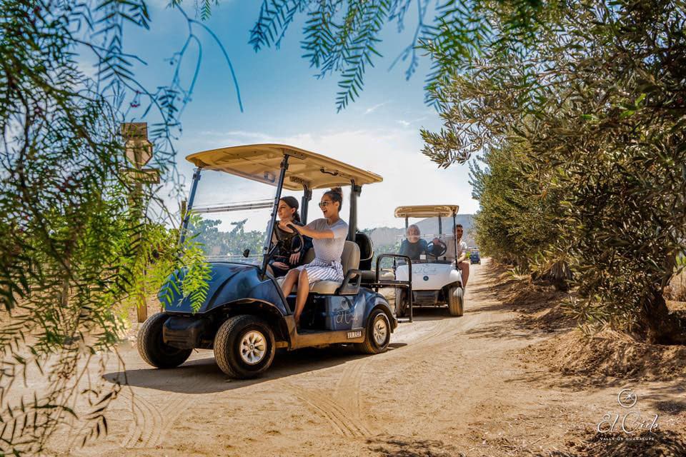 Renta de Carro de Golf - Image 4