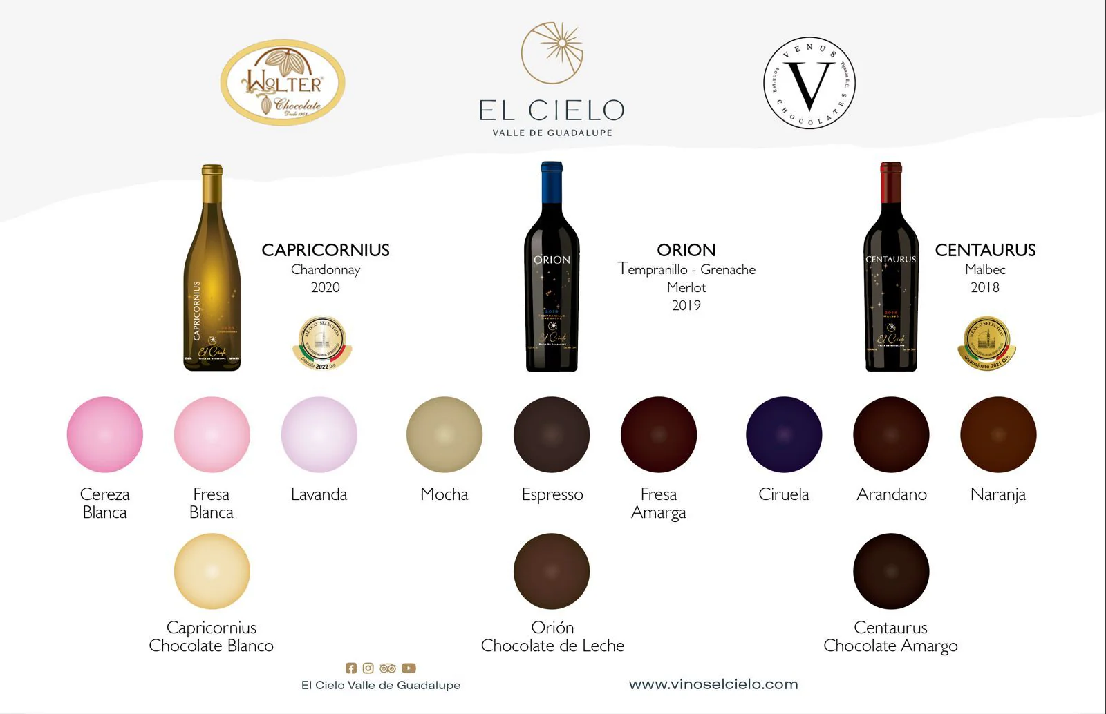 Taller interactivo de maridaje de vino con chocolate - Image 6