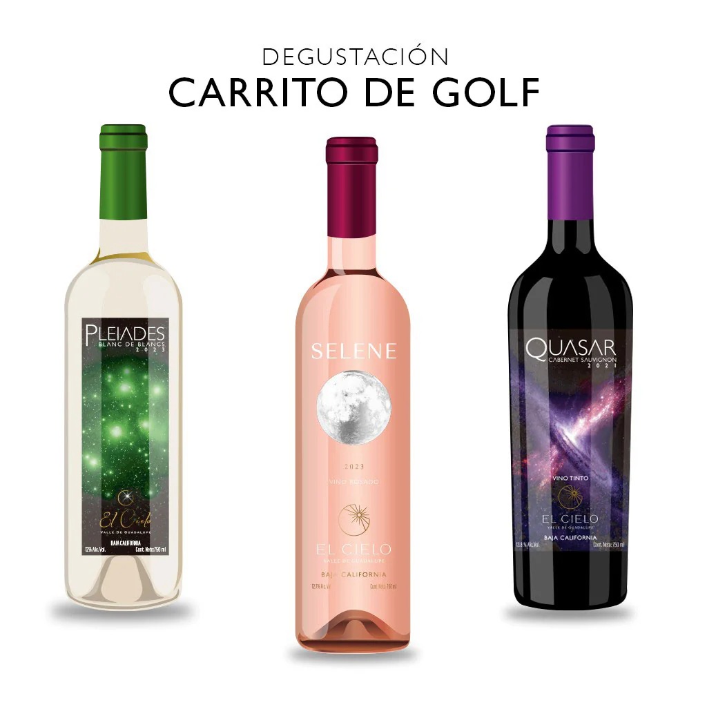 Tour y Degustación en Carrito de Golf - Image 5
