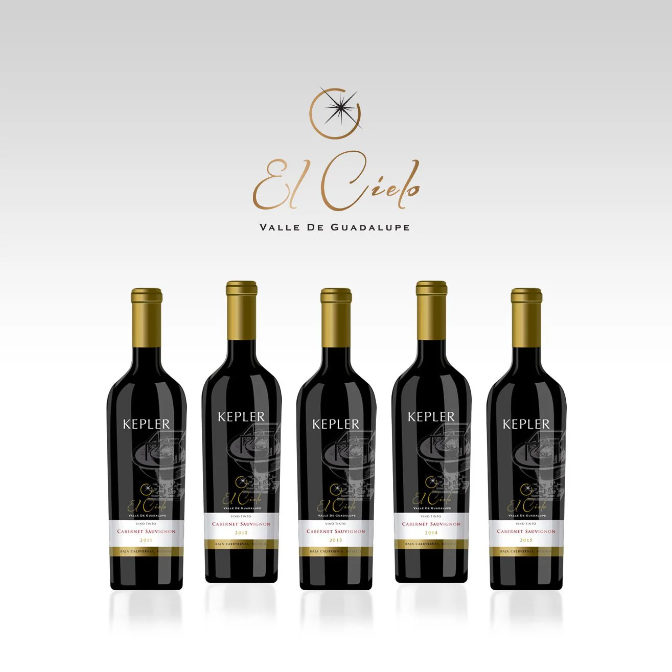 Vino Tinto Kepler - Image 8